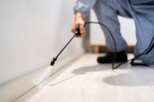 Licensed Mosquito Control service in Michigan Center, MI - Nex Pest Control