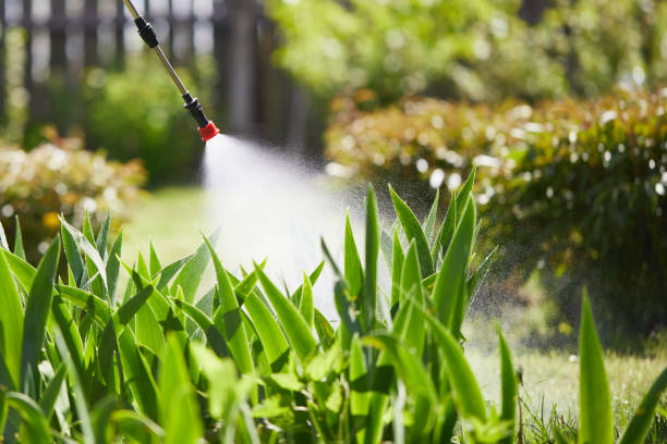 24/7 Emergency Mosquito Control experts in Michigan Center, MI