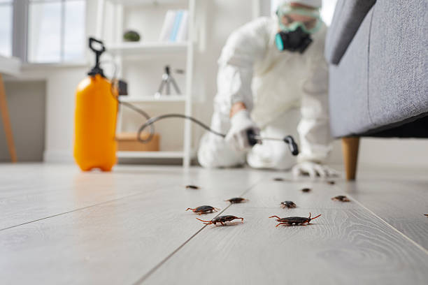Trusted Mosquito Control service in Michigan Center, MI - Nex Pest Control