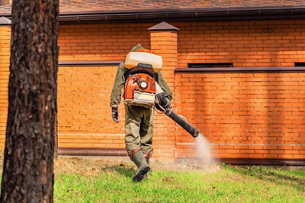 Trusted Rodent Control service in Michigan Center, MI - Nex Pest Control